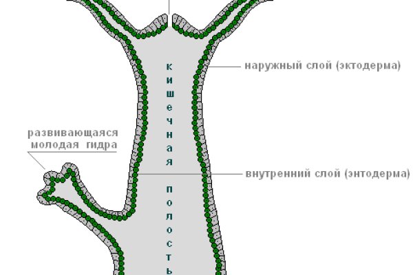 Как вывести деньги с кракена маркетплейс