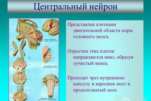 Мега или кракен